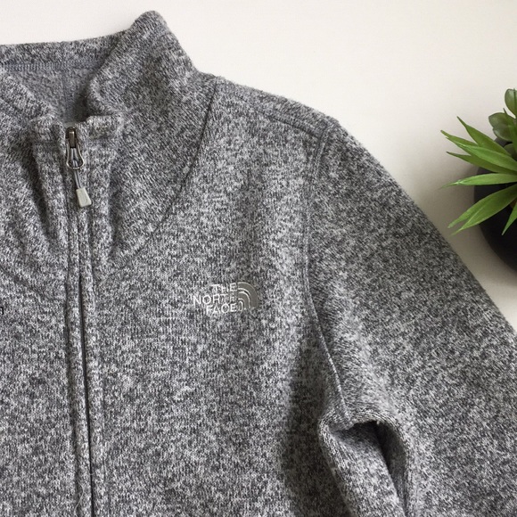 The North Face Jackets & Blazers - North Face Jacket